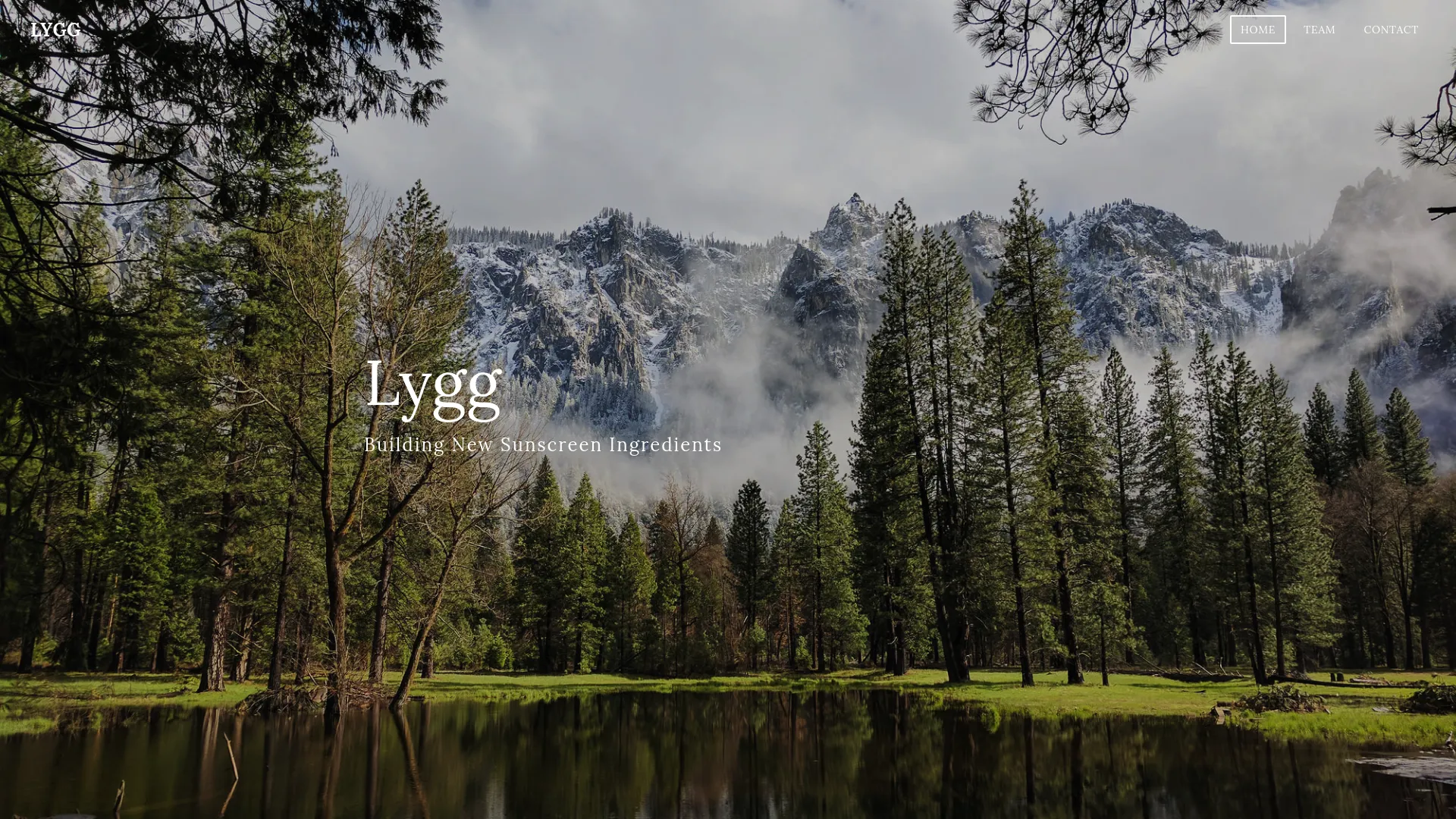 Lygg screenshot