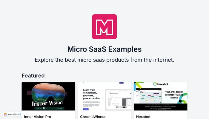 Micro SaaS Examples