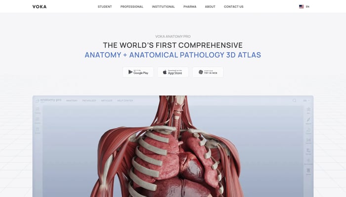 VOKA Anatomy Pro