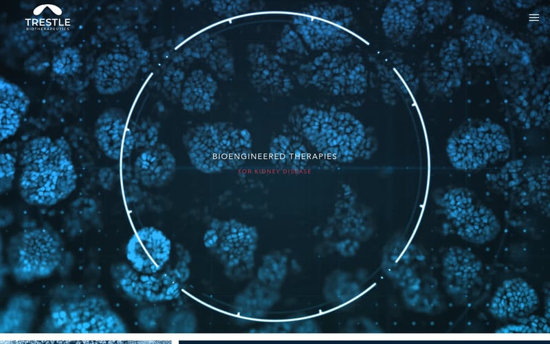 Trestle Biotherapeutics